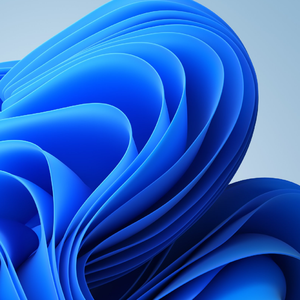 月光给万物披银纱