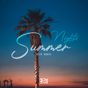 I Will Try (Melih Aydogan Remix)