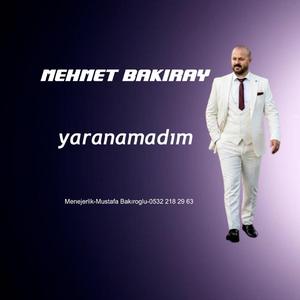 yaranamadım