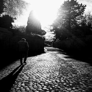 SCUSA (feat. Ricky San) (Live in Utopia)