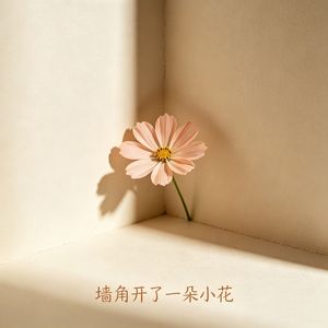 墙角开了一朵小花
