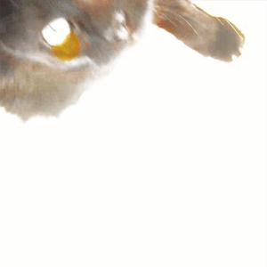 Pray It All Goes Away