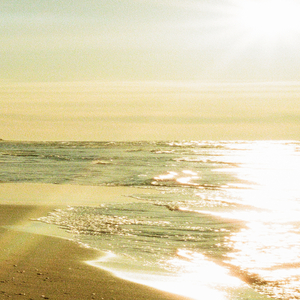 SOMM@ (frankfurt) (REM1X)