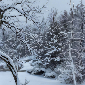 닿기 전에 (Inst.)