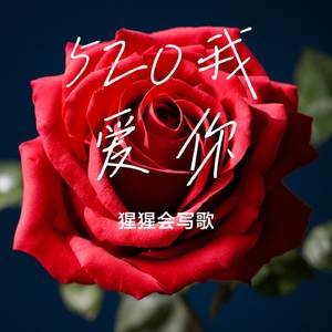 520 我爱你