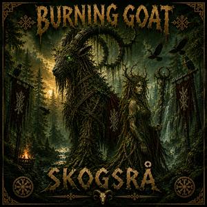 Skogsrå