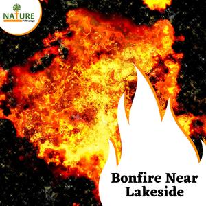 Forest Ayurveda Treatment