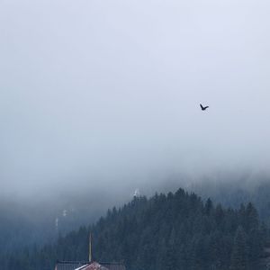 天若有情_limcenyi