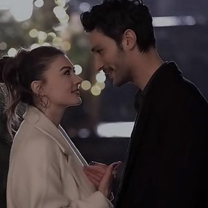 终究是我来太迟 梨树难生桃花支