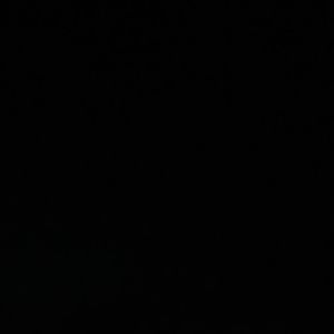 Richard Clayderman-梦中的鸟（治疗病爱 remix）