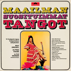 Kultaiset korvarenkaat