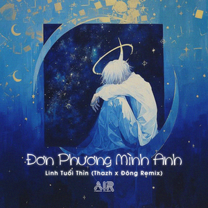 Đơn Phương Mình Anh (Thazh x Đông Remix)