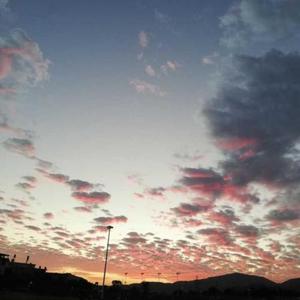 要勇敢要努力啊