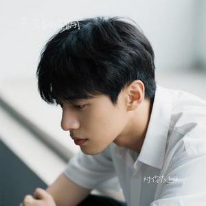 对你太上头 (Cover 鑫瀚)