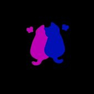 เพลงประจําวัน