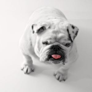 Austin You Made Poopy in Your Pants (The Fart Song)