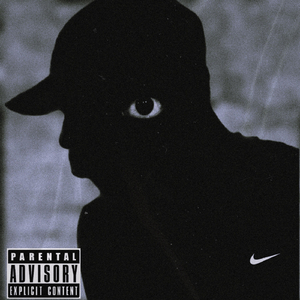 FIM (feat. Vanfox, Hogs & South Sirius)
