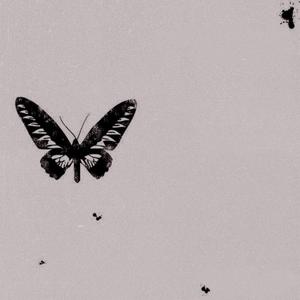 ワールド・ワイド・ボクシステム