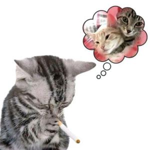 zavalli? (Klaxin Remix)