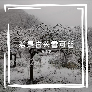 叹雪