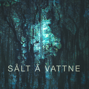 Sålt å vattne