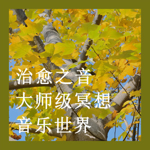 治愈之音