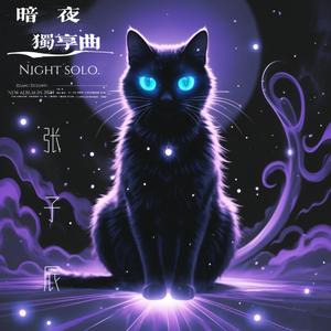 暗夜独享曲