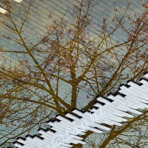 从青涩爱恋到自我救赎