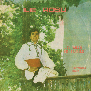 Trecui Pe Drum Călător