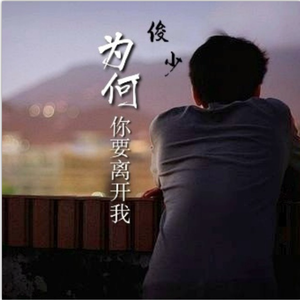 为何你要离开我