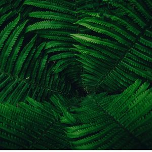 抚慰的在家休息回忆