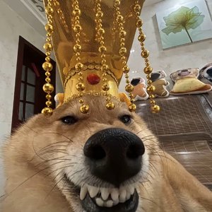 靓仔之歌（两广儿歌）（毛毛鞋 remix）