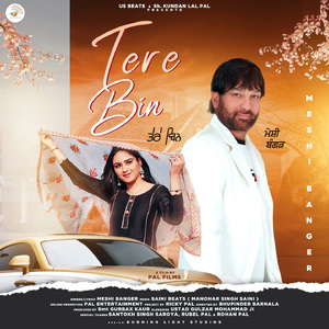 Tere Bin