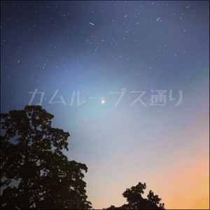 カムループス通り