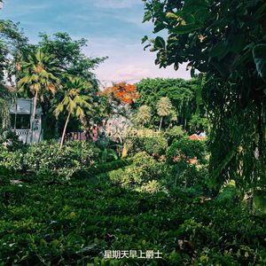 适合办公室工作经典的音乐