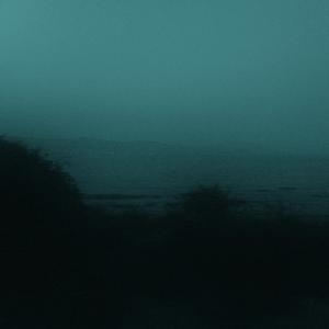 もう何も関係ない。