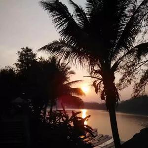 梦（Prod.Gr33nart）