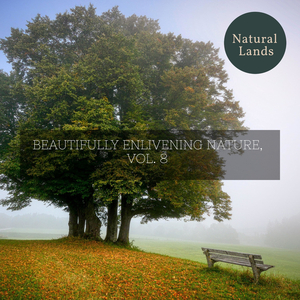 Wishful Mountain Night