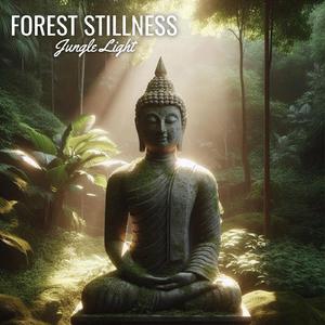 Jungle Light (Forest Sitllness)
