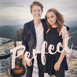 Perfect (Cover)