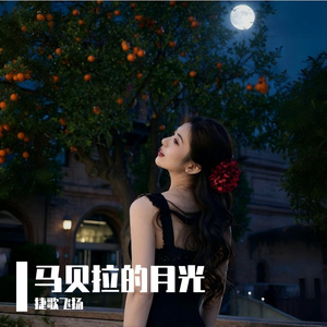 马贝拉的月光 伴奏