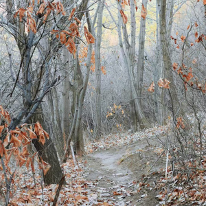 国家大气梦想 National grand dream.