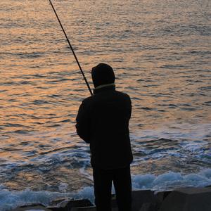 可见光-失忆蝴蝶（zzh remix）