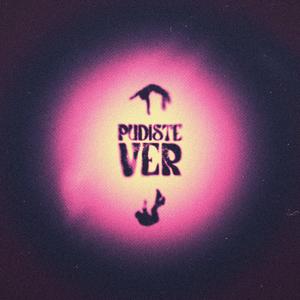 Pudiste ver