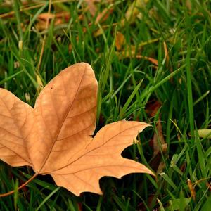 the reason why u left me