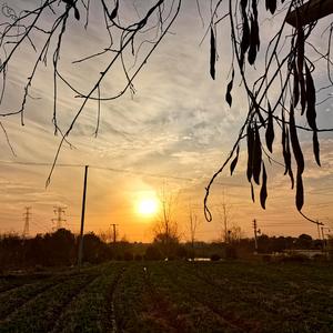 热雪～hula翻唱2018