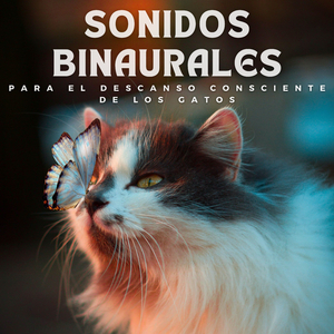 Sonidos Relajantes Para Gatos
