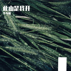 此山是我开