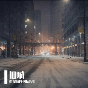 关于你的日记，我终于停下笔