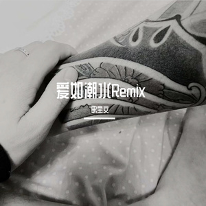 爱如潮水Remix（翻自 Q.luv）